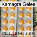 Kamagra Jelly levitra2